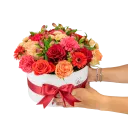 Box červených květin